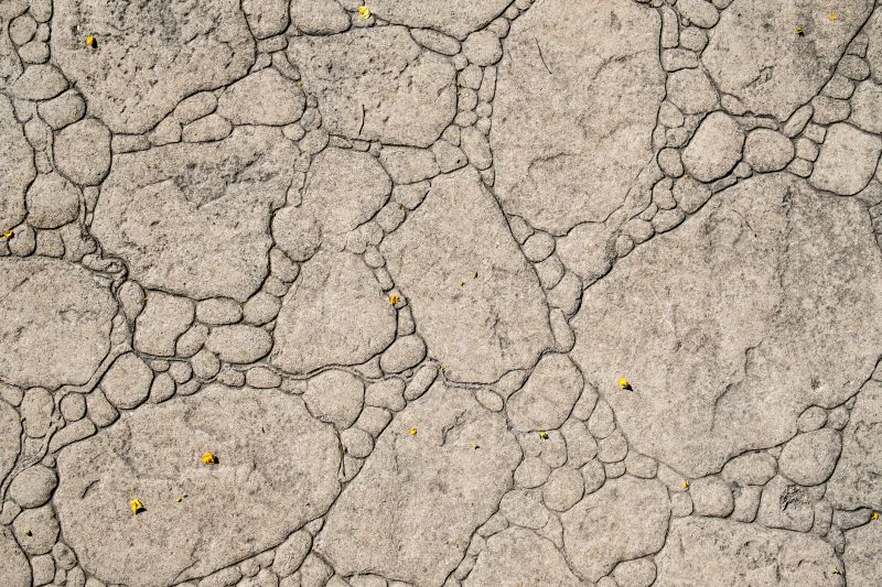 Decorative Concrete Repair in Bonita Springs, FL